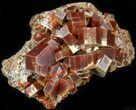 Large Red Vanadinite Crystals on Matrix - Morocco #42186-1